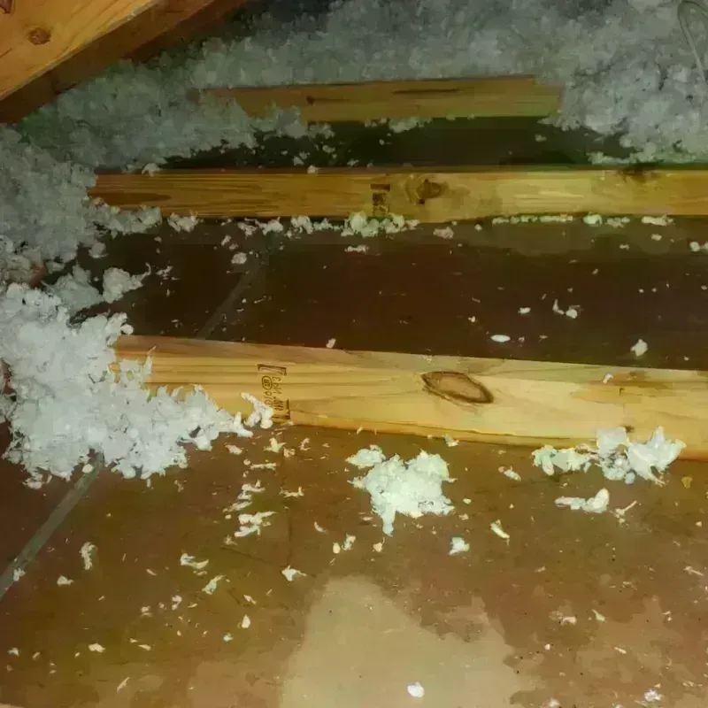 Attic Water Damage in Pleasant View, TN